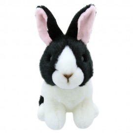 Rabbit - Black & White Dutch - Wilberry Mini's